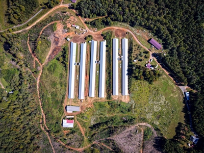 Poultry Farm For Sale in Connelly Springs NC - image 8