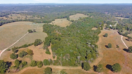 Large Ranch & Farm with Live Water &  Home for Sale in S MO. - image 40