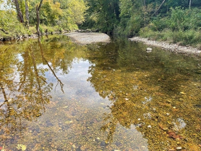 Large Ranch & Farm with Live Water &  Home for Sale in S MO. - image 42