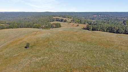 Large Ranch & Farm with Live Water &  Home for Sale in S MO. - image 36
