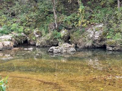 Large Ranch & Farm with Live Water &  Home for Sale in S MO. - image 3