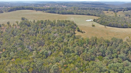 Large Ranch & Farm with Live Water &  Home for Sale in S MO. - image 44