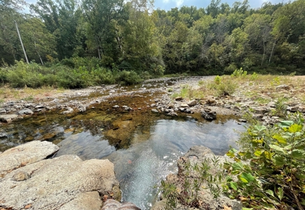 Large Ranch & Farm with Live Water &  Home for Sale in S MO. - image 7