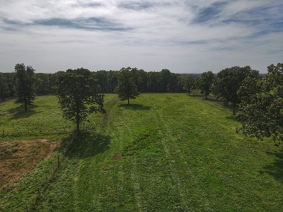 Land For Sale Osceola Missouri - image 37