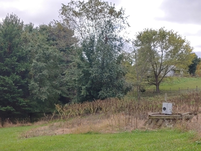 Land for Sale in Riner VA! - image 8