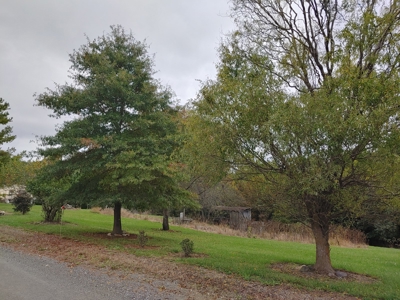 Land for Sale in Riner VA! - image 6
