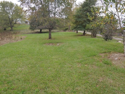Land for Sale in Riner VA! - image 2