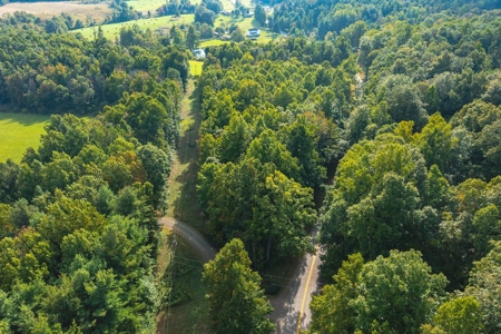 Wooded Lot for Sale in Meadows of Dan VA - image 5