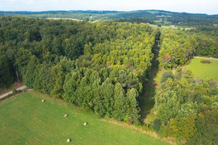 Wooded Lot for Sale in Meadows of Dan VA - image 6