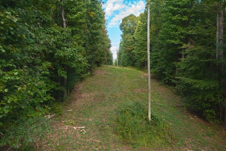 Wooded Lot for Sale in Meadows of Dan VA - image 9