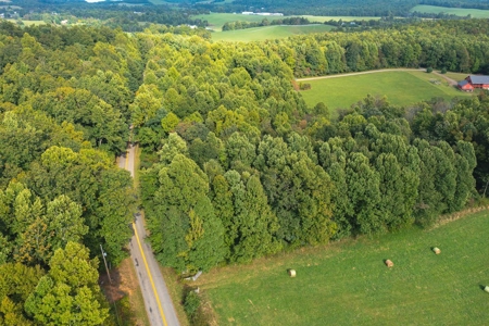 Wooded Lot for Sale in Meadows of Dan VA - image 7