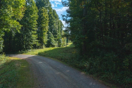 Wooded Lot for Sale in Meadows of Dan VA - image 2
