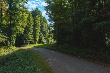 Wooded Lot for Sale in Meadows of Dan VA - image 4