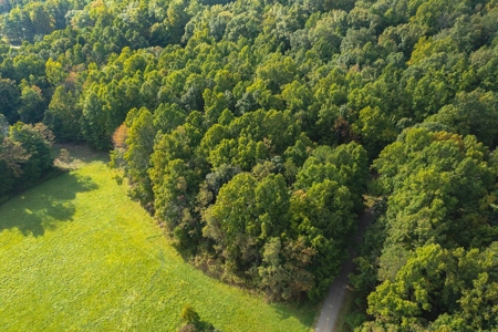 Wooded Lot for Sale in Meadows of Dan VA - image 1