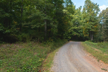 Wooded Lot for Sale in Meadows of Dan VA - image 13