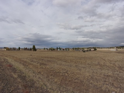 0.34 Acres in Cal Pines in Northern CA - image 1