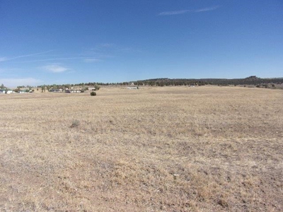 0.34 Acres in Cal Pines in Northern CA - image 5