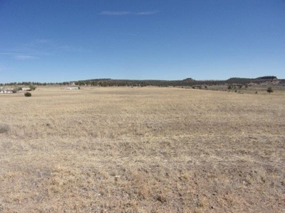 0.34 Acres in Cal Pines in Northern CA - image 4