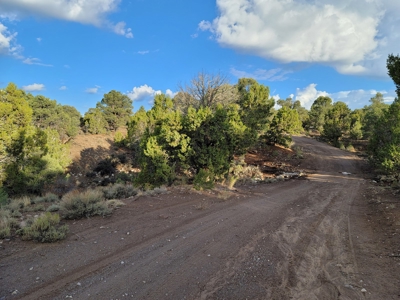 Nevada Residential Buildable Land For Sale Near Pioche Nv - image 1