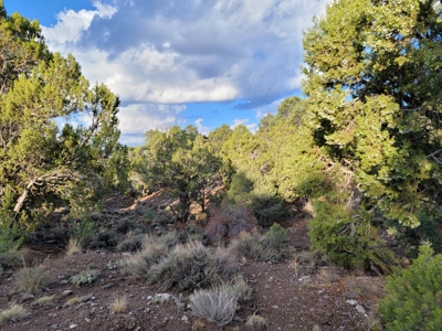 Nevada Residential Buildable Land For Sale Near Pioche Nv - image 4