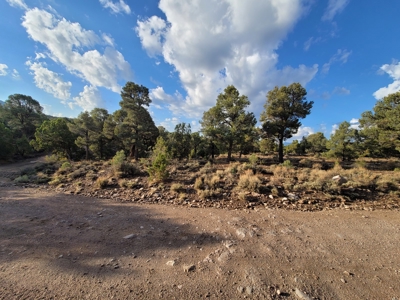 Nevada Residential Buildable Land For Sale Near Pioche Nv - image 10