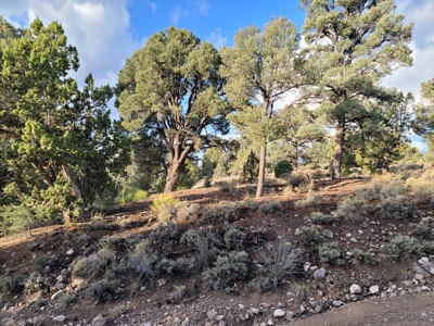 Nevada Residential Buildable Land For Sale Near Pioche Nv - image 7