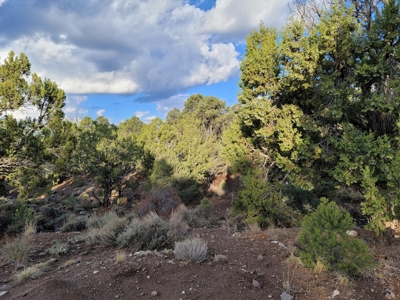 Nevada Residential Buildable Land For Sale Near Pioche Nv - image 2