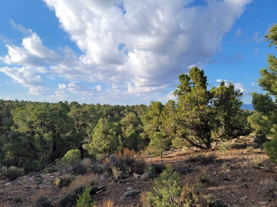 Nevada Residential Buildable Land For Sale Near Pioche Nv - image 14