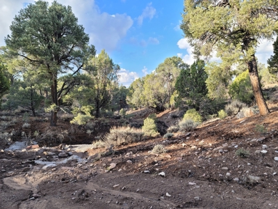 Nevada Residential Buildable Land For Sale Near Pioche Nv - image 5