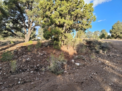 Nevada Residential Buildable Land For Sale Near Pioche Nv - image 6