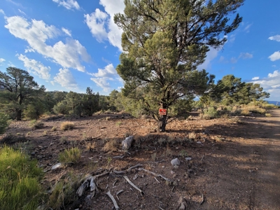 Nevada Residential Buildable Land For Sale Near Pioche Nv - image 11