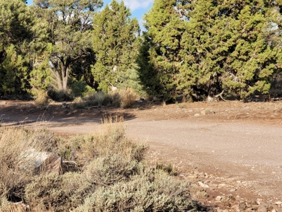 Nevada Residential Buildable Land For Sale Near Pioche Nv - image 9