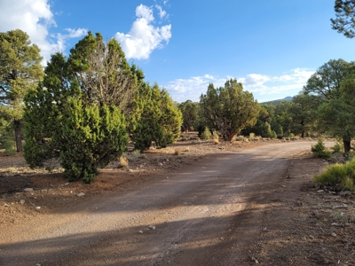 Nevada Residential Buildable Land For Sale Near Pioche Nv - image 13