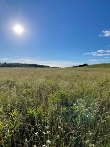 Land for sale with country home menifee county kentucky - image 2