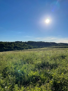 Land for sale with country home menifee county kentucky - image 3