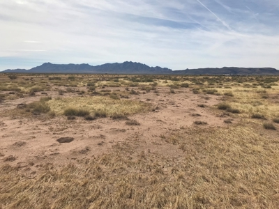 Land for Sale in Deming New Mexico - image 10