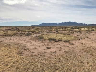 Land for Sale in Deming New Mexico - image 9