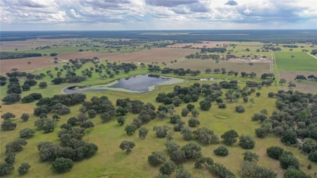 Stunning Florida Farm Land for Sale 76 Acres - image 10