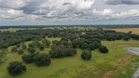 Stunning Florida Farm Land for Sale 76 Acres - image 5