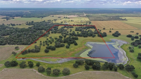 Stunning Florida Farm Land for Sale 76 Acres - image 3