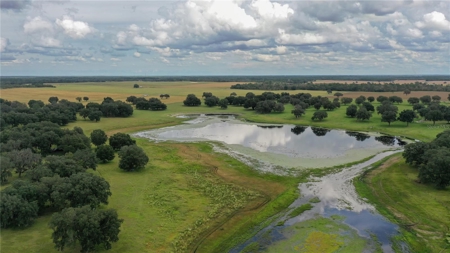 Stunning Florida Farm Land for Sale 76 Acres - image 2