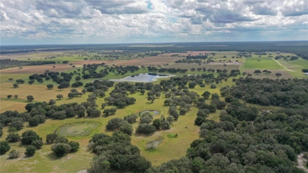 Stunning Florida Farm Land for Sale 76 Acres - image 1