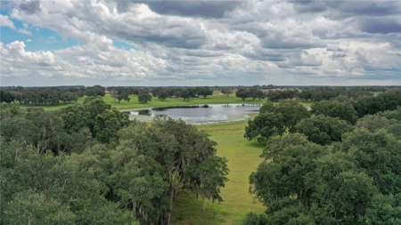 Stunning Florida Farm Land for Sale 76 Acres - image 8