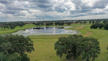 Stunning Florida Farm Land for Sale 76 Acres - image 9