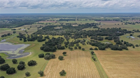 Stunning Florida Farm Land for Sale 76 Acres - image 4