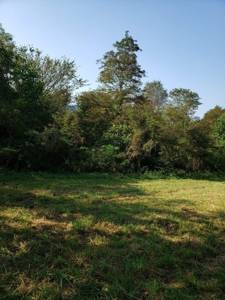 5.08 Acres Unrestricted Land in East TN For Sale - image 1