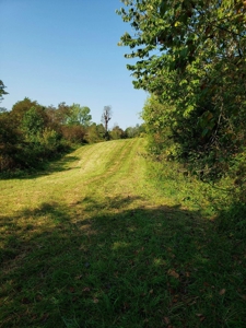 5.08 Acres Unrestricted Land in East TN For Sale - image 2