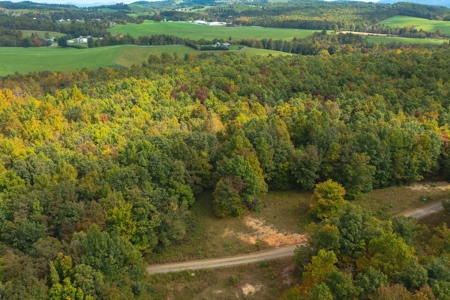 Land for Sale in Meadows of Dan VA! - image 2