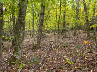 Land for Sale in Meadows of Dan VA! - image 9