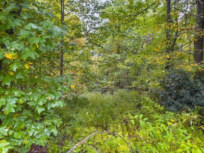 Land for Sale in Meadows of Dan VA! - image 8